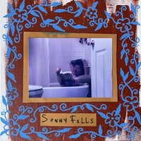 Sonny Falls - Vinyl Record - F600Z
