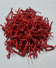 Red Coral Branch Gemstone 100 Natural Italy Coral Polished Rough 5"Piecs One Lot