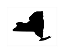 New York Stencil USA State NY Outline Silhouette 8" x 10" Reusable Sheet S1335