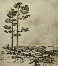 Fritz Burkhardt 1900-1983 Munich/etching 1943 wide landscape trees forest