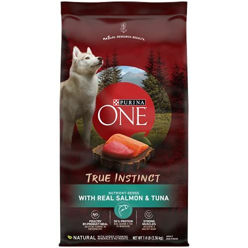 purina protein