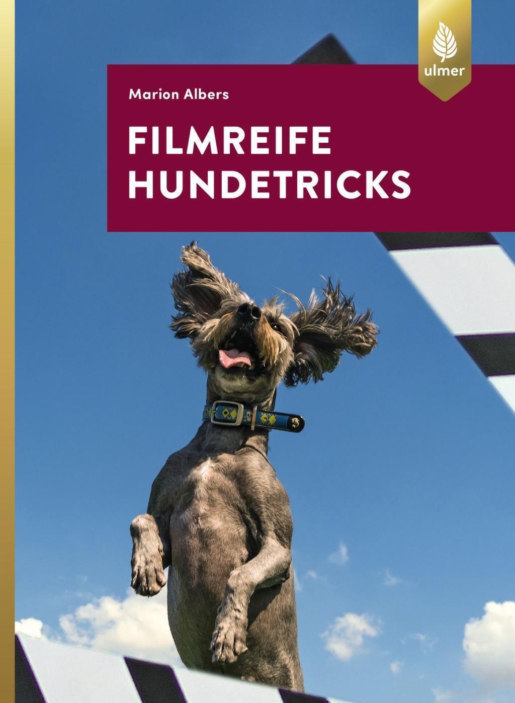 Thumbnail - Filmreife Hundetricks | Tricktraining - Nicht Nur Für Angehende