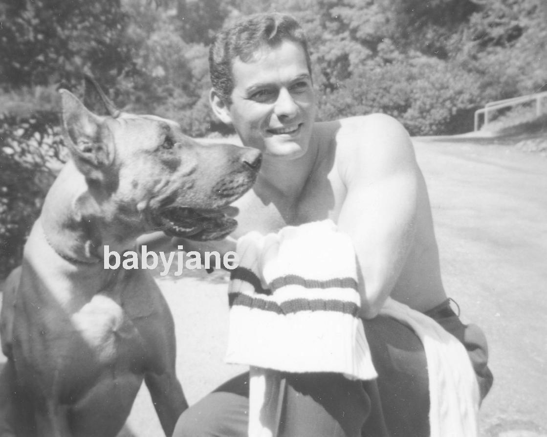 017 EDSON STROLL McHALE'S NAVY STAR BARECHESTED W/ HIS GREAT DANE DOG