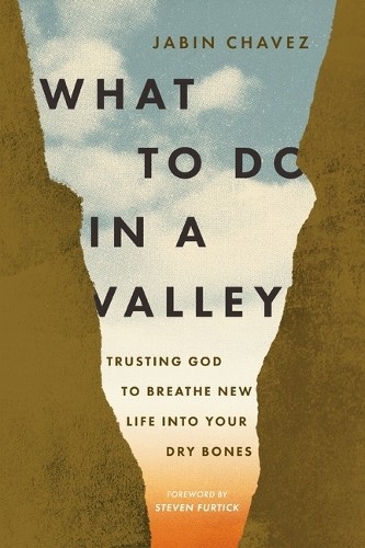 Jabin Chavez What to Do in a Valley (Paperback) (PRESALE 12/03/2026)