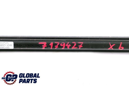BMW Serie X6 E71 Puerta Frontal Izquierda Ventana Interior Canal Cubierta N/S 7179427 - Imagen 11 de 12