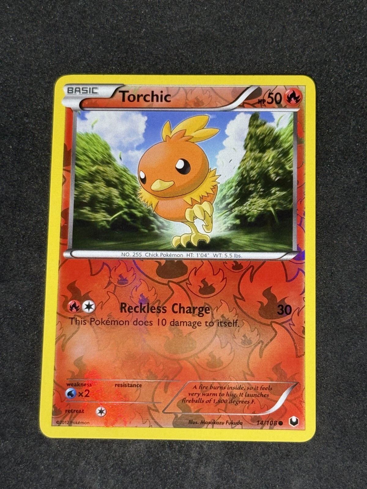 NM Torchic 14/108 Dark Explorers Reverse
