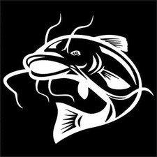 Catfish Vinyl Decal / Sticker 2(TWO) Pack