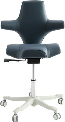 Ergonomic Desk Chair with Multi Functional Sitting Posture Executive Chairs for