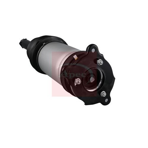APEC Air Spring Strut Rear Left/Right - AAS1075 - Image 5