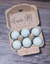 5 1 Blue Hatching Eggs - NPIP Certified - AI PT Clean Flock