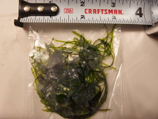 Live Plant Java Moss For Aquarium