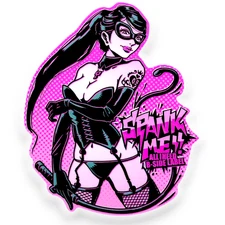 Catwoman Energy ✦ B-Side Label Sticker