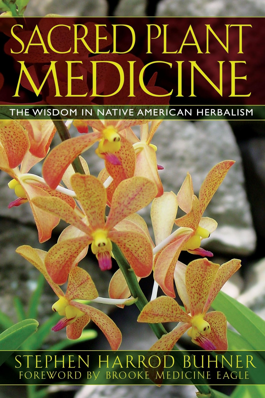 Sacred Plant Medicine: The Wisdom in Native American Herbalism - Image 6