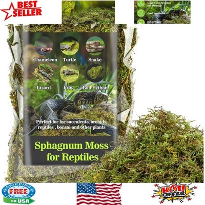Green Dried Sphagnum Moss - Perfect Substrate for Snakes, Turtles & Frogs