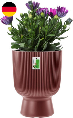 Prosperplast Milly Designer-Blumentopf Modernes Zylinderdesign Inkl. Pflanzeinsa