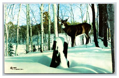 EWEN Michigan~ Buck in the Snow ~ Deer hunting ~ Vacationland UNP