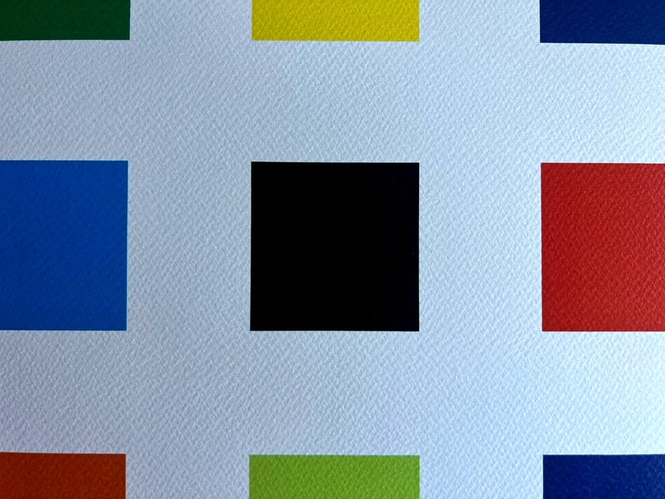 Litografía original firmada por Ellsworth Kelly certificado de autenticidad 180 Ex sello a lápiz numerado Foto 4 de 4