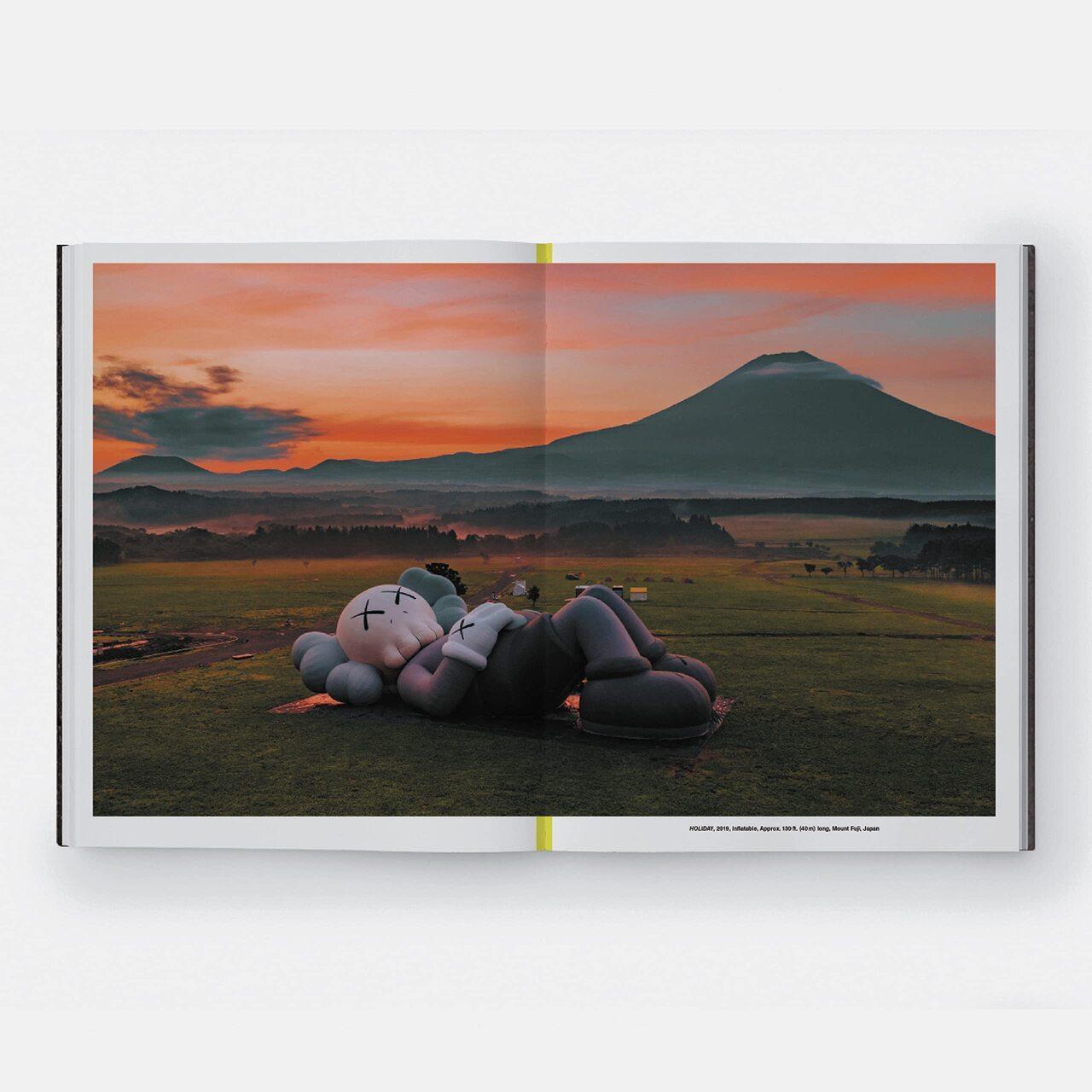 Thumbnail - Kaws Daniel Birnbaum