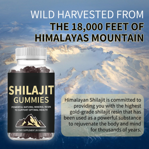 Pure Himalayan Shilajit Gummies Organic Energy Boost Stress Relief Supplement - Bild 5 von 11