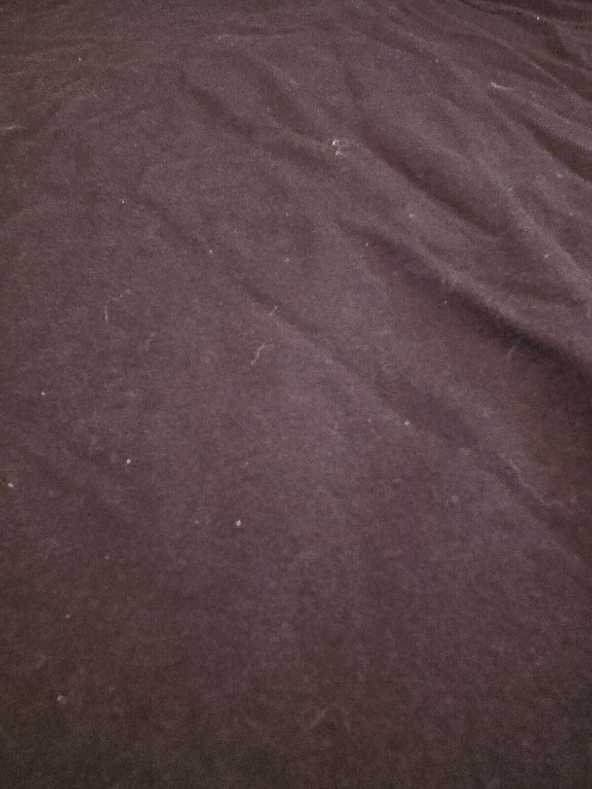 Bild 9 von 12