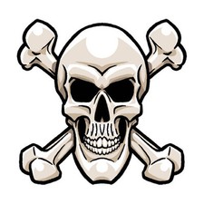 12 - Skull Bones Temporary Tattoo Mascot Face Tattoos - Made in the USA