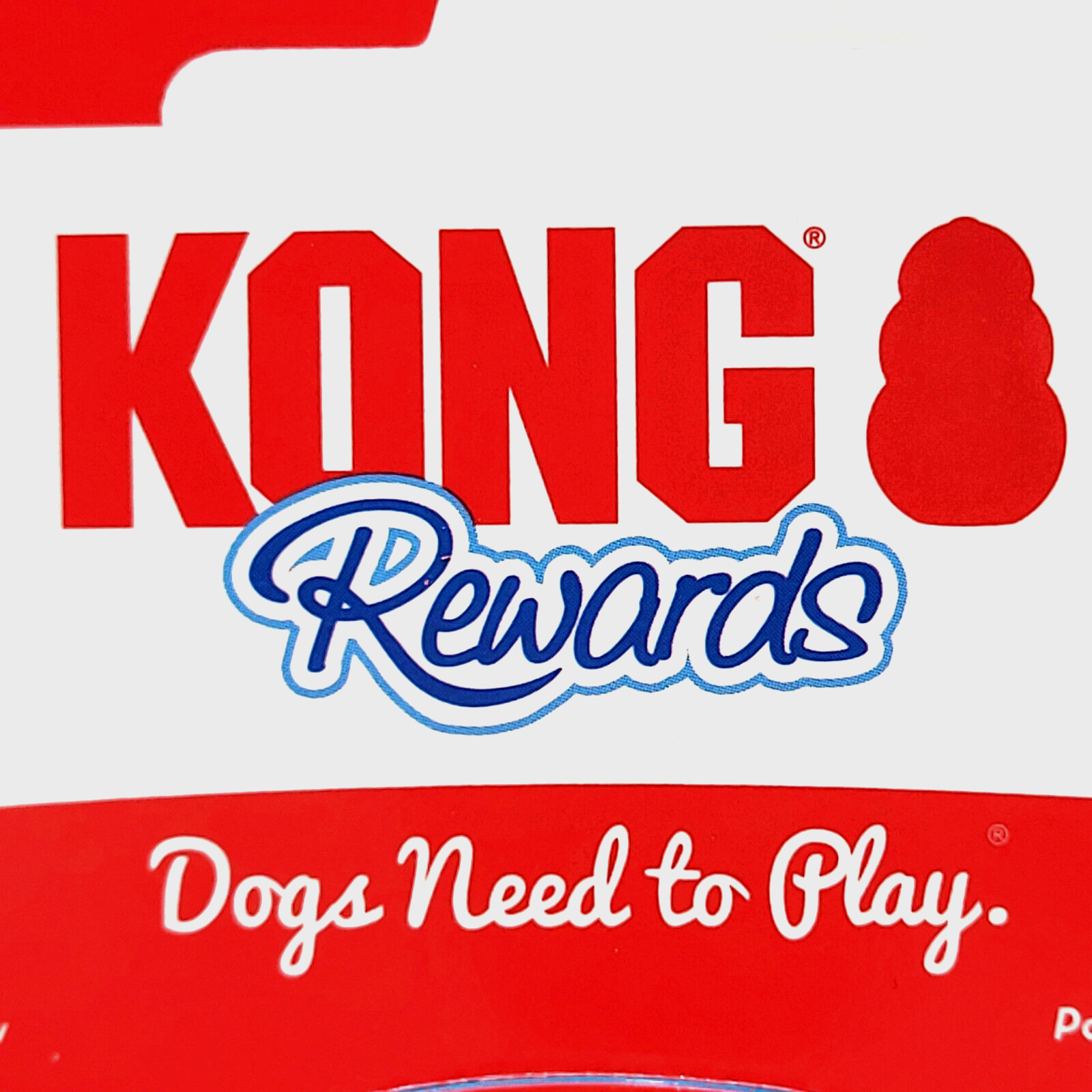 Kong Rewards Shell Treat Dispensing Slow Feeder Durable Bouncy Dog Toy 4.5"