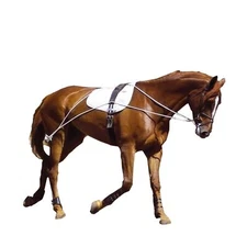 Hunters Saddlery Ultimate Horse Lunging Training Aid System Lunge Equipment f...