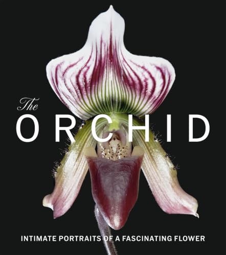 The Orchid: Intimate Portraits of a Fascinating by David Berry | HB | 2026 - Image 5