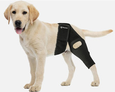 PetCove PC-PWEASE Black Dog Knee Brace for Torn Acl Hind Leg Small See Sizing