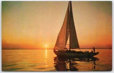 Vintage Cape Cod Sailing Scene Sunset Postcard by Tichnor Bros