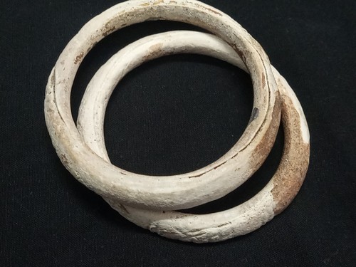Antica civiltà Mohenjo-daro coppia unica braccialetti di conchiglie dal Pakistan - Foto 4 di 20