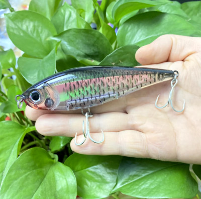 3D Inshore Twitchbait 30g floating Pencil Fishing Lures Saltwater 