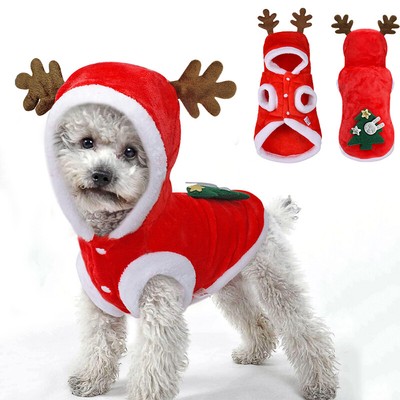 small dog clothes uk