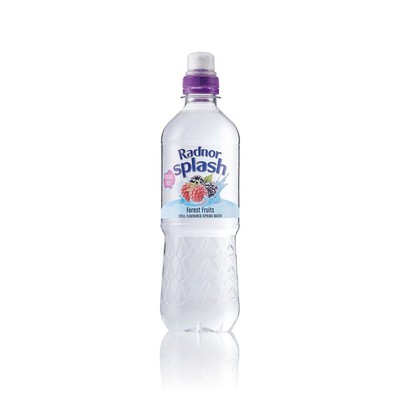 Radnor Hills Splash Still Water Waldfrüchte 500ml 24er Pack 0201049