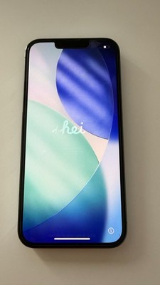iPhone 13 Pro - 1TB - Sierra Blue (Ohne Simlock) gebraucht - Super Zustand