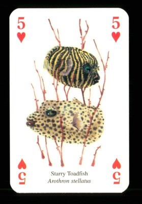 1 x Spielkarte   Sternenkrötenfisch   5 der Herzen   ZU 06
