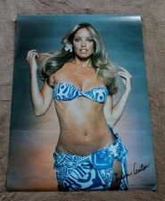 Susan Anton 1977 Pro Arts Bikini Swim Suit Baywatch Cannonball Poster FVF