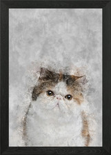 Exotic Cat Framed Wall Art Poster Canvas Print Picture