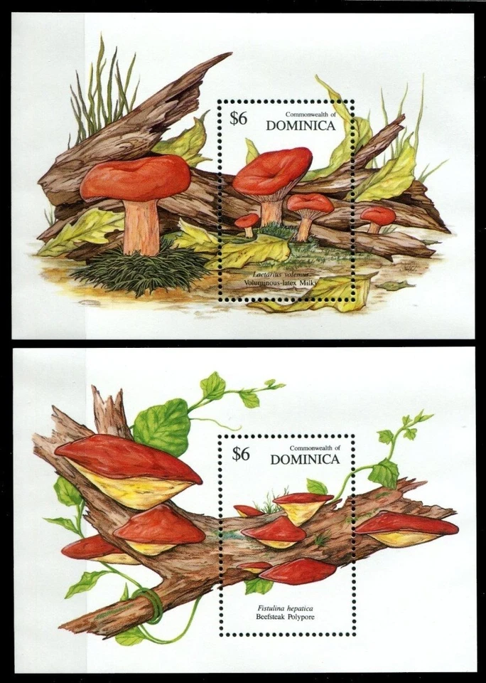 Dominica 1991 - Mi-Nr. Block 182-183 ** - MNH - Pilze / Mushrooms - Bild 1 von 1