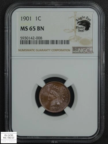 1901 Indian Head Copper Cent 1C (Photo Seal) NGC MS 65 BN (GORGEOUS TONING!)