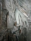 Bild 6 von 12