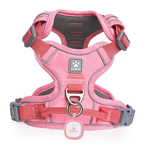 Dog Harness for Small Dogs S (Bigger than Normal (Chest: 17"-22'' )) Mimi Pink
