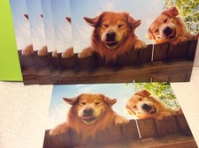 GET WELL AVANTI GREETING CARDS New w/envelopes LOT 6 "CHECKING IN" BEST PRICE