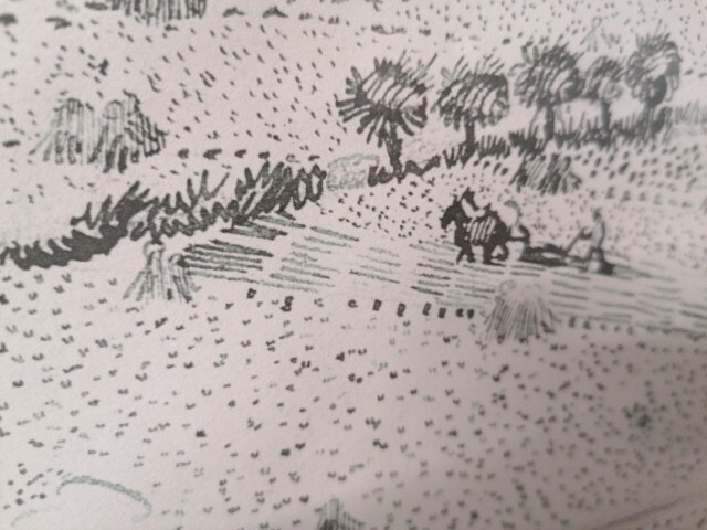 Picture 8 of 16
