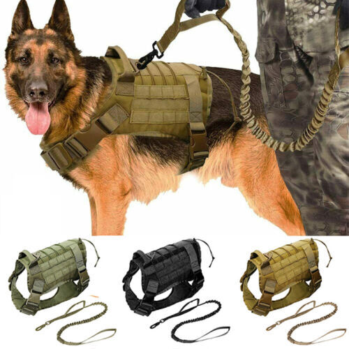 Leash Best Choke Collar For Dog Training Clasp Stainless Dog