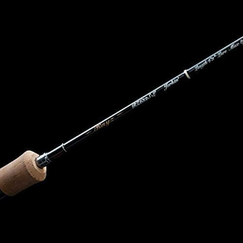 ロッド Tenryu Rayz 912 Silver Scale Tenryu Mountain Stream Spinning Rod Rayz RZ842S-MMH Silver