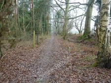 Photo 12x8 Footpath alongside Winterpick Wood Lower Beeding  c2011