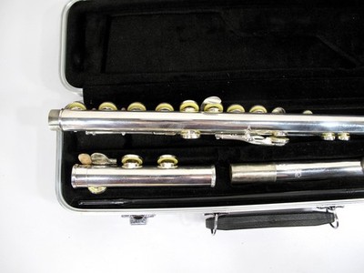 Andreas Eastman EFL210 Offset G C Footjoint Flute | eBay
