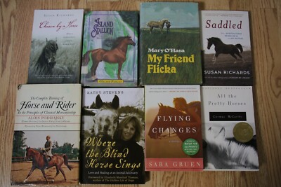Vintage HORSE BOOK Novel Lot Saddled Island stallion My Friend Flicka and Rider