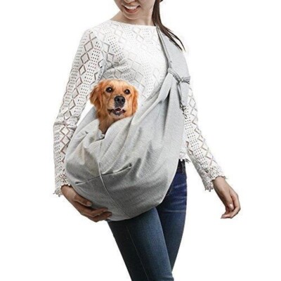 Sac de transport pour chien à moto : lequel choisir